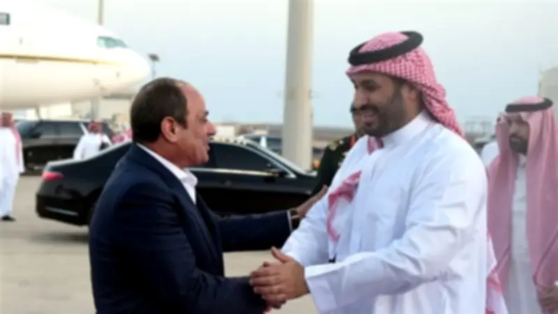 السيسي يجدد إدانة مصر للاعتداءات الإيرانية على السعودية ودول الخليج خلال لقاء ولي العهد