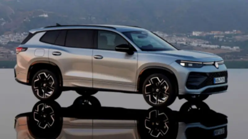 الرئيس التنفيذي لـ فولكس فاجن يحث الشركات الألمانية على الاستفادة من التخطيط