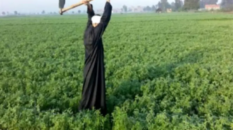 برلماني: ترشيد الاستيراد ودعم الإنتاج المحلي يعززان صمود الاقتصاد أمام التحديات الإقليمية