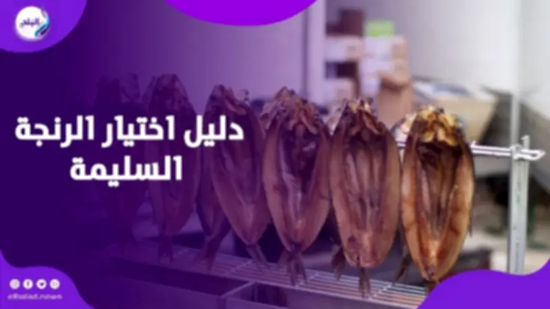 رنجة العيد: نصائح حيوية لاختيار الأسماك الآمنة وتجنب المخاطر الصحية