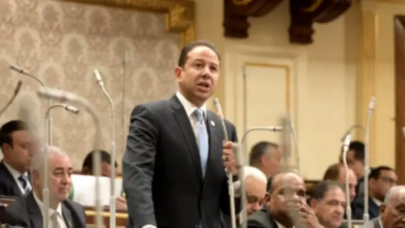 برلماني: السيسي يقود تحركات إقليمية لخفض التصعيد وفتح التفاوض