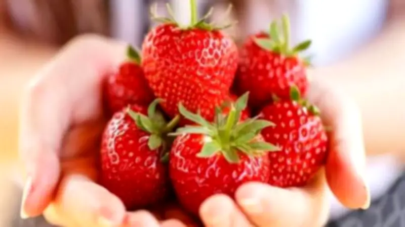 تناول الفراولة يوميًا: فوائد صحية مذهلة وتحذيرات هامة للجسم