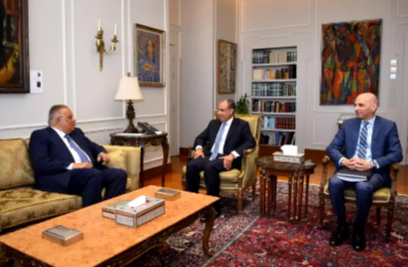 وزير الخارجية يؤكد التزام مصر بتعزيز حقوق الإنسان على المستويين الوطني والدولي