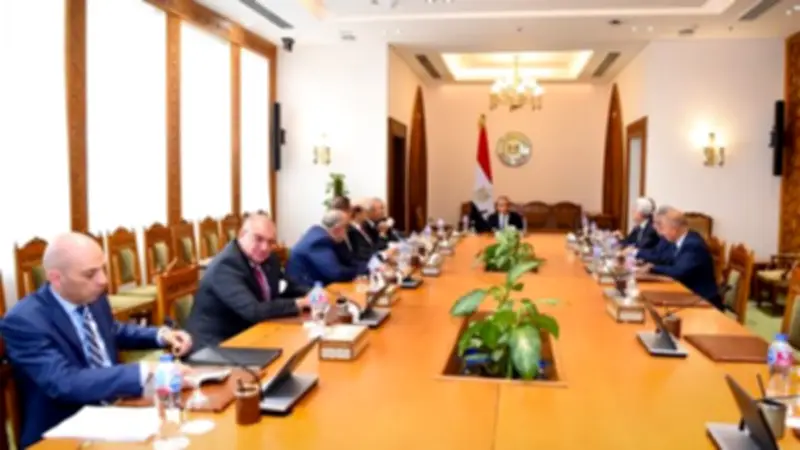 لقاء وزير الخارجية مع السفراء المتقاعدين: مصر تؤكد رفضها للاعتداءات على الخليج وتدعو للحوار