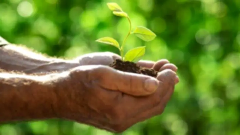 استشاري أمراض القلب يحذر: تقلبات الطقس خطر مباشر على مرضى القلب والضغط