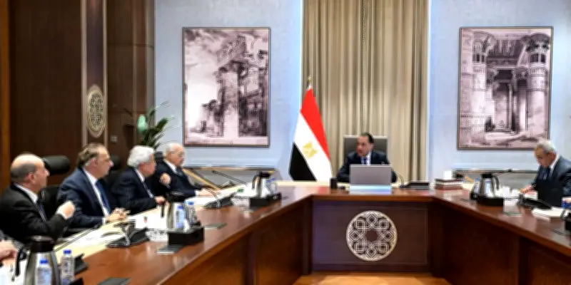 رئيس الوزراء يلتقي أعضاء اللجنة الاستشارية للشؤون السياسية لمناقشة التحديات الراهنة