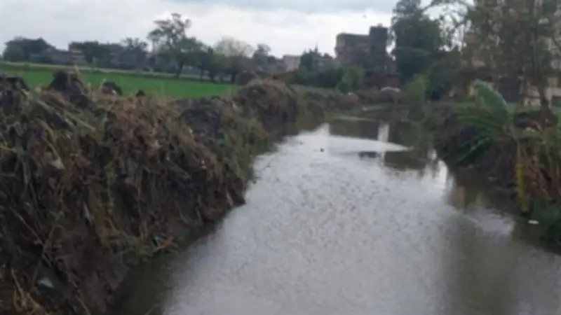 محافظ الدقهلية يُصدر توجيهات عاجلة لتطهير ترعة الريدانية استجابةً لمطالب الأهالي