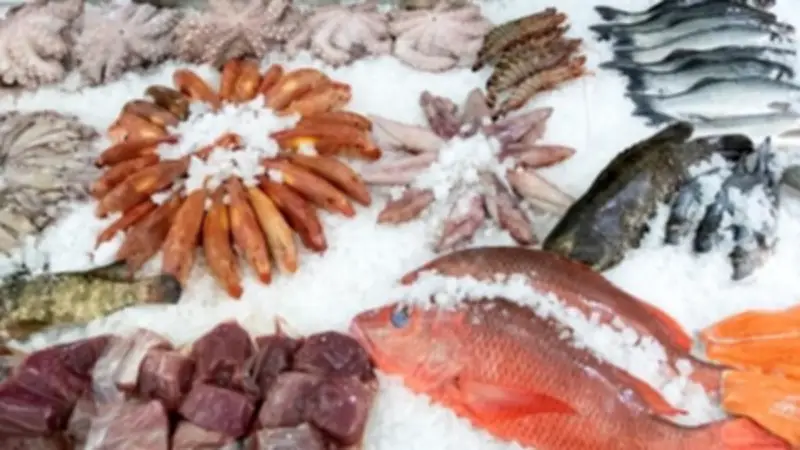 ارتفاع أسعار البلطي والبوري وانخفاض الجمبري في سوق العبور اليوم