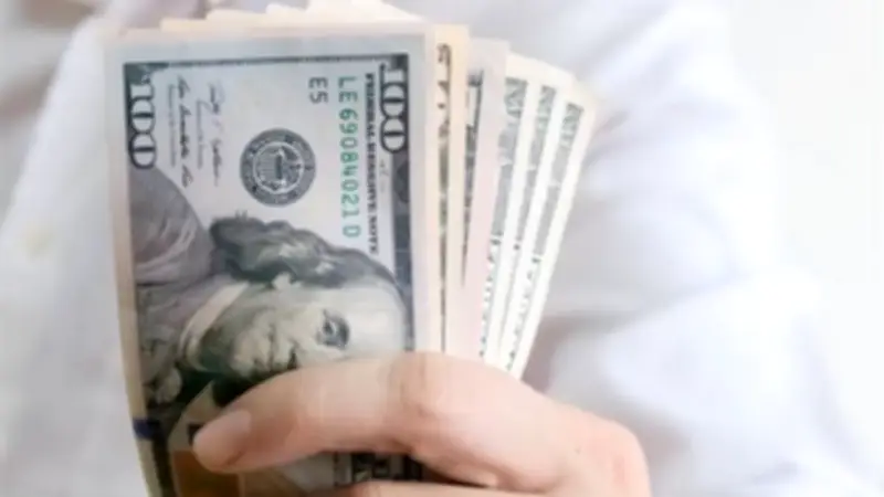 استقرار سعر الدولار في البنوك المصرية مع نهاية تعاملات الأسبوع