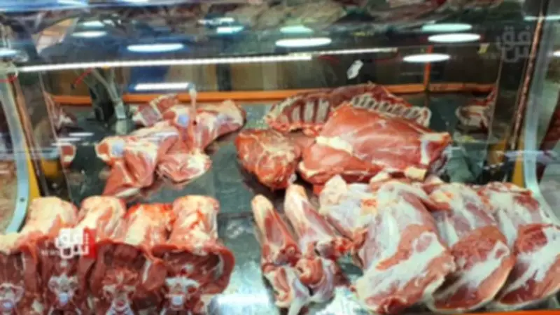 قناة السويس تنقذ الأسواق العراقية من أزمة اللحوم بسبب الحرب الإيرانية