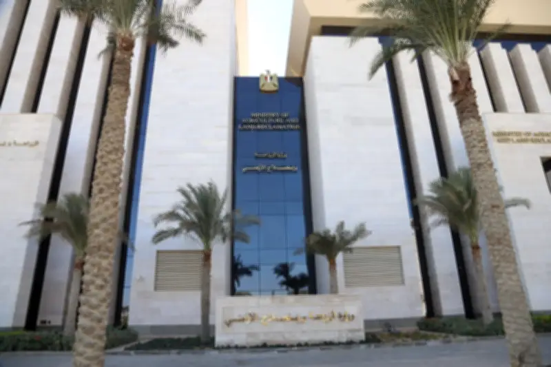 انطلاق حملة تلقيح واسعة ضد مرض الجلد العقدي في الأبقار والأغنام بمصر