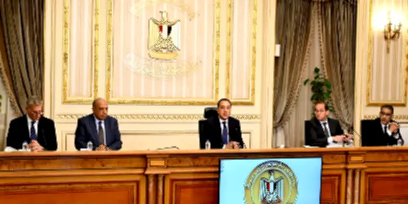 مجلس الوزراء المصري يقر خطة حكومية شاملة لمواجهة تداعيات الحرب الإيرانية