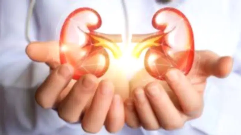 عادات يومية بسيطة تحمي كليتيك من الفشل وتقلل خطر الأمراض المزمنة