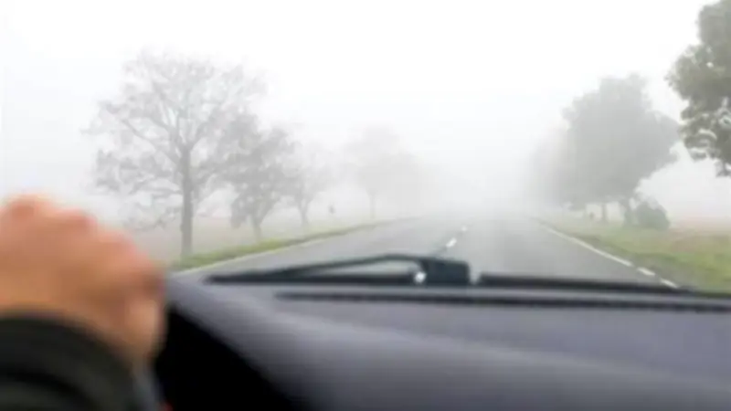 نصائح ذهبية للقيادة الآمنة تحت الشبورة المائية وتجنب حوادث الطرق