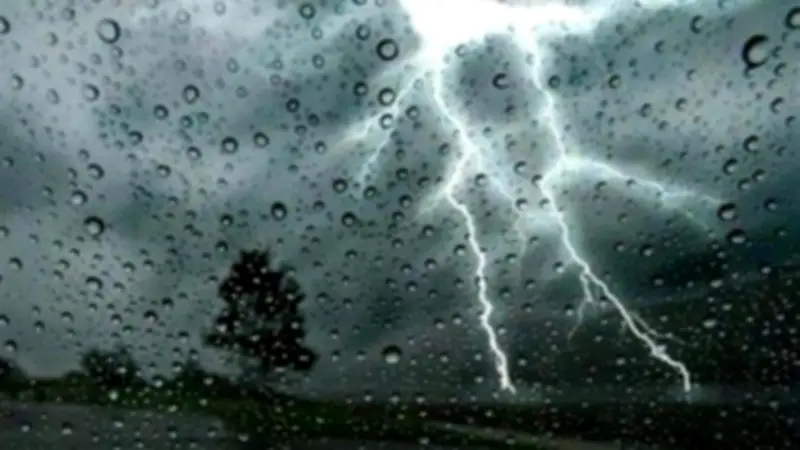 تأجيل الدراسة اليوم في محافظة الجيزة بسبب سوء الأحوال الجوية