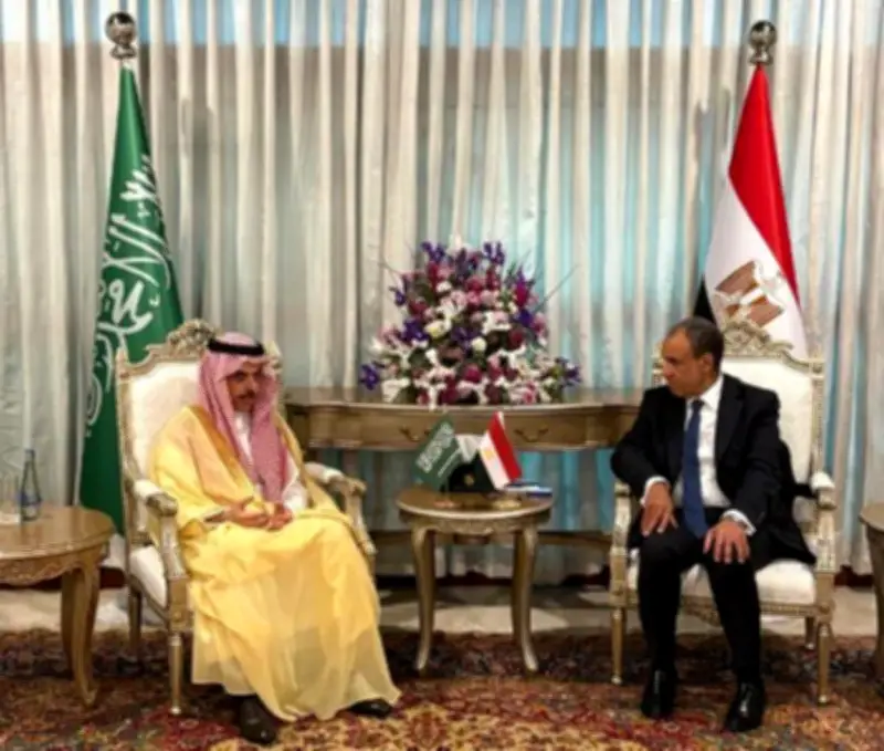 وزراء خارجية مصر وتركيا والسعودية وباكستان يناقشون مستجدات الأوضاع الإقليمية وجهود خفض التصعيد