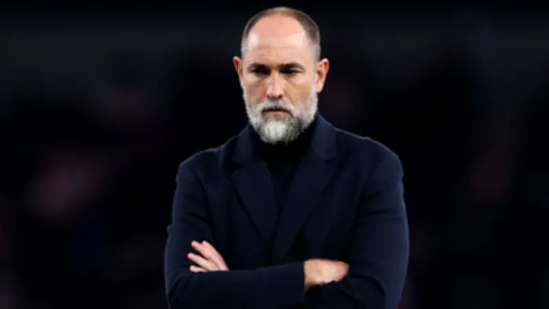 توتنهام هوتسبير يعلن رحيل المدرب إيجور تودور بالتراضي مع طاقمه الفني