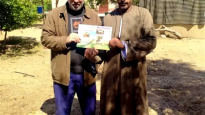 استمرار الحملة القومية للتحصين ضد أمراض الماشية في الإسماعيلية بتوجيهات وزارة الزراعة