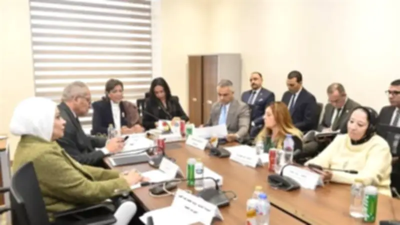 المجلس القومي لذوي الإعاقة يؤكد: لا مساس بحقوق الأشخاص ذوي الهمم ويعمل على حوكمة الدعم