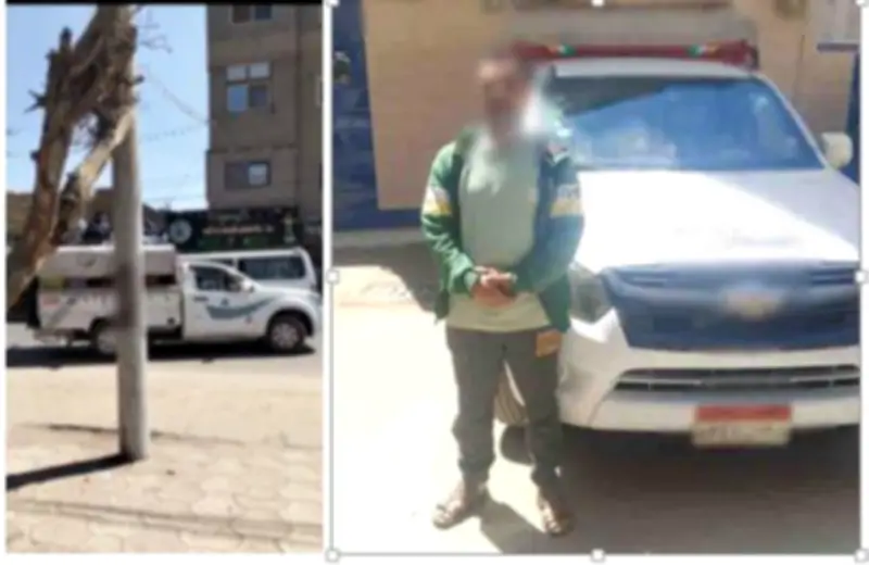 ضبط سائق بالشرقية سمح بركوب المواطنين على صندوق ربع نقل معرضًا حياتهم للخطر