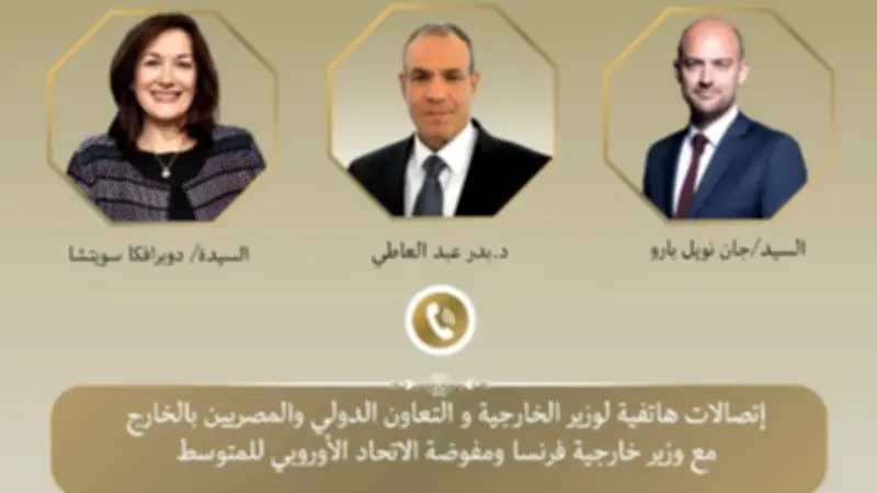 وزير الخارجية المصري يبحث التطورات الإقليمية والتعاون الاقتصادي مع فرنسا والاتحاد الأوروبي