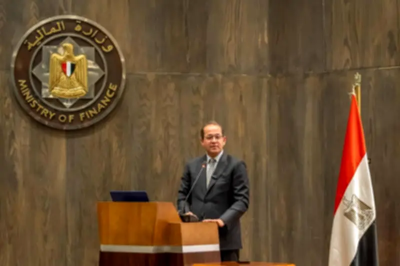 وزير المالية يعلن إطلاق تطبيق "موبايل أبلكيشن" لتقديم كافة الخدمات الضريبية العقارية