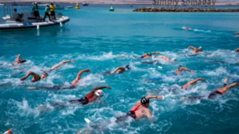 وزارة السياحة والآثار ترعى بطولتي كأس العالم للسباحة وكأس مصر للفروسية في البحر الأحمر