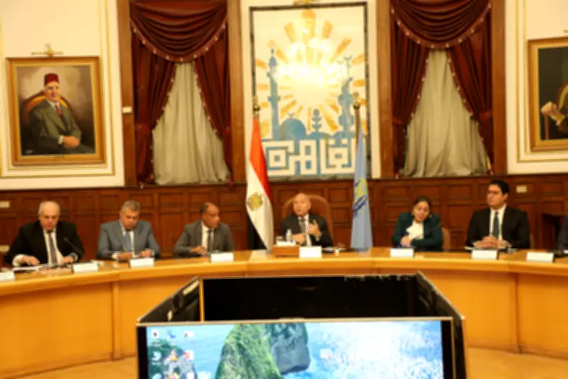 محافظ القاهرة: المرحلة الحالية تتطلب حلولاً غير تقليدية للطاقة