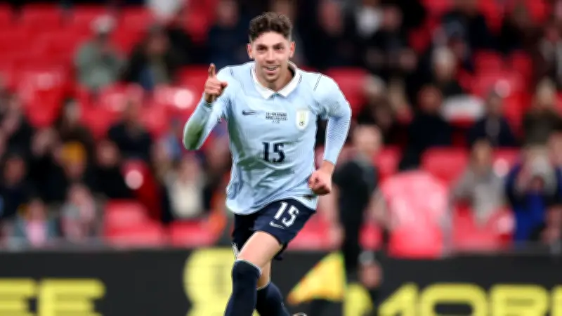 بييلسا: فالفيردي يتميز بمرونة تكتيكية لا يمتلكها بيدري وفيتينيا