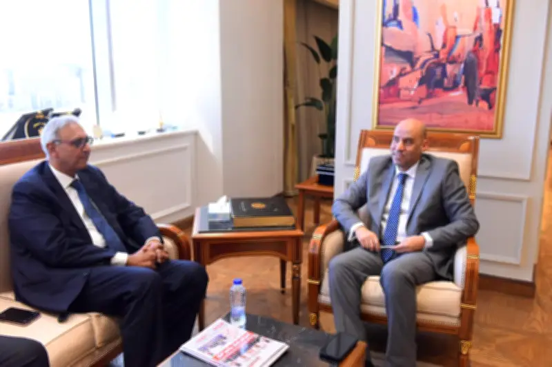 وزير العمل يبحث مع TCI Sanmar خطط التوسع وتوطين التكنولوجيا في مصر