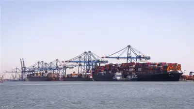 ميناء دمياط يسجل نشاطاً لافتاً باستقبال 10 آلاف طن قمح وتداول 74 ألف طن بضائع خلال يوم واحد