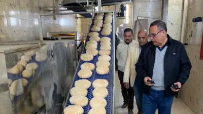 الدقهلية تشن حملات تموينية مكثفة وتضبط 180 كيلو لحوم ومخلل مجهولة المصدر