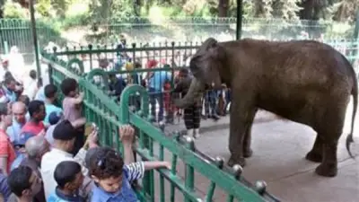 موعد عيد الفطر 2026 في مصر: العد التنازلي الرسمي يبدأ والتفاصيل الفلكية تؤكد الجمعة 20 مارس