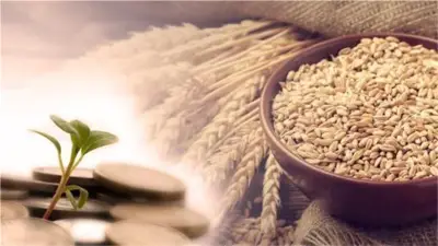 زكاة الفطر 2026 في مصر: القيمة الرسمية 35 جنيها وموعد الإخراج قبل صلاة العيد