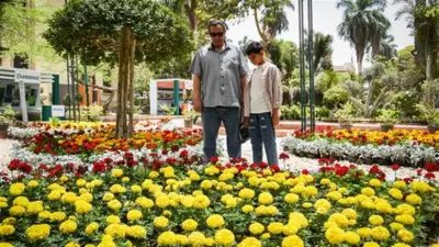 مع استمرار التقلبات الجوية.. فصل الربيع 2026 يستمر 92 يومًا وينتهي في 21 يونيو