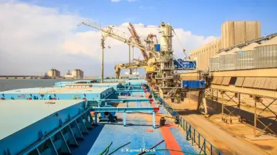 ميناء دمياط يسجل حركة نشطة: 25 سفينة وحركة بضائع تتجاوز 63 ألف طن