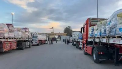 الهلال الأحمر يدفع بأكثر من 2865 طنًا من المساعدات الغذائية عبر قافلة زاد العزة 150