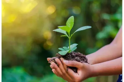 طفرة نوعية لمصر: تقدم 36 مركزاً في مؤشر تغير المناخ العالمي لعام 2024