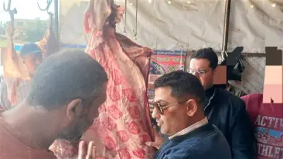 وزارة الزراعة تضبط 38 طن لحوم وأسماك فاسدة وتحرر 299 محضرًا بالمحافظات