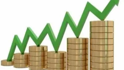 حصاد الاقتصاد: وفرة السلع التموينية ودعم بـ40.3 مليار جنيه وطرح حصة تأمينية وتحذيرات من أسواق الطاقة