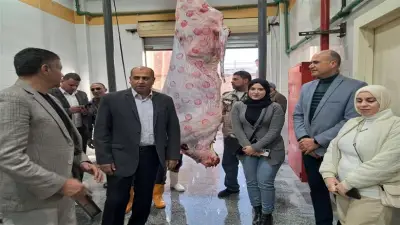 مديرية الطب البيطري بكفر الشيخ تستقبل 4924 ذبيحة في مجازر المحافظة خلال مارس