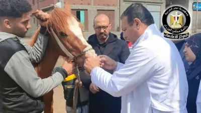 وزارة الزراعة تنفذ 510 قافلة بيطرية مجانية خلال يناير وفبراير 2026 لدعم صغار المربين