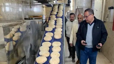 ضبط 66 طن خامات مجهولة المصدر و306 مخالفة تموينية في حملات الدقهلية