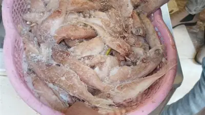 إعدام سلع منتهية الصلاحية وتحرير 96 محضرًا في حملات تفتيشية بالمنوفية