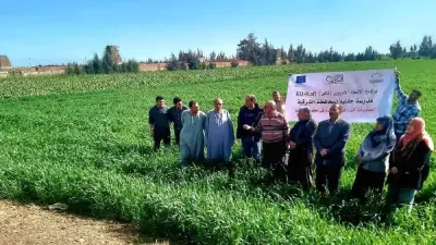 الشرقية تطلق برامج تدريبية متخصصة لدعم التوسع في الزراعات الحديثة