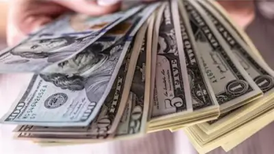 تراجع مفاجئ لسعر الدولار أمام الجنيه في البنوك المصرية والمركزي