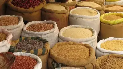 أزمة الأعلاف تهدد صناعة الدواجن في مصر.. مطالب عاجلة بالتدخل الحكومي