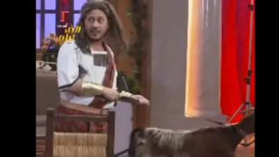 كريم عفيفي يسخر من مقلب فيفي عبده: هل سيعرض على ناشيونال جيوجرافيك؟