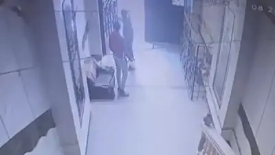 اعتداء وسحل وسرقة هاتف.. ضحية إطعام القطط يحكي تفاصيل واقعة صادمة بالقاهرة