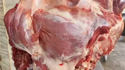 ارتفاع أسعار اللحوم في الأسواق اليوم باستثناء الكندوز الكبير